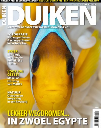 Duiken