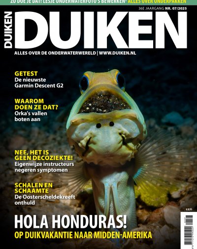 Duiken